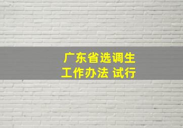 广东省选调生工作办法 试行